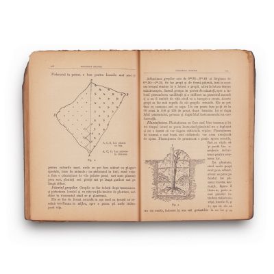 Dr. Maximilian Popovici, Calendarul plugarului pe anul 1900, 1899