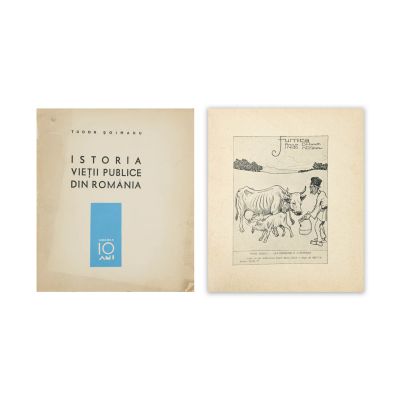 Tudor Șoimaru, Istoria vieții publice din România, 1928-1938