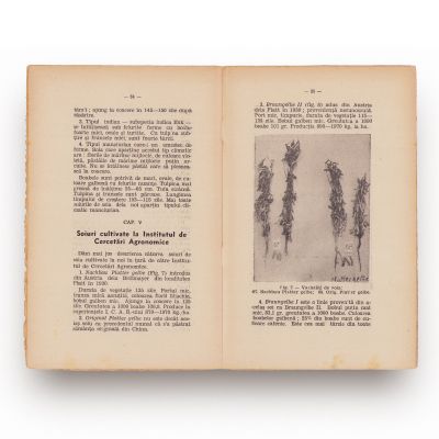 Clocitoarea artificială și conducerea ei + Cultura bumbacului în România +  Soia, 1938-1941