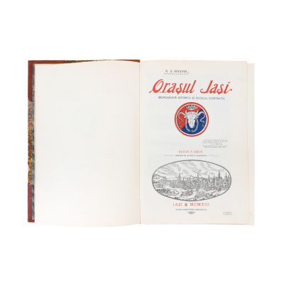 N. A. Bogdan, Orașul Iași, 1915