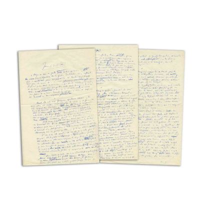 Constantin Noica, Jurnal XI, manuscris de 3 file