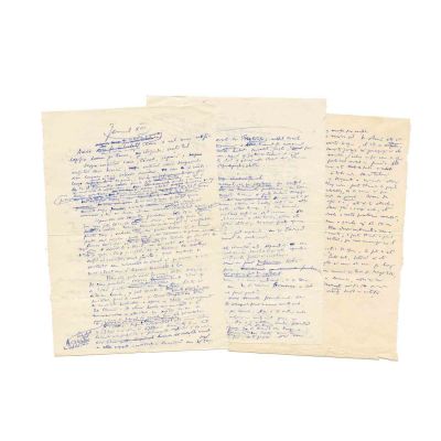 Constantin Noica, Jurnal XIII, manuscris de 3 file