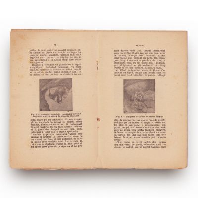 Mulgerea rațională și îngrijirile laptelui + Păstrarea fructelor proaspete + Cultivarea pătlăgelelor roșii, 1934-1944