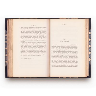 Simion Fl. Marian, Nașterea la români, 1892