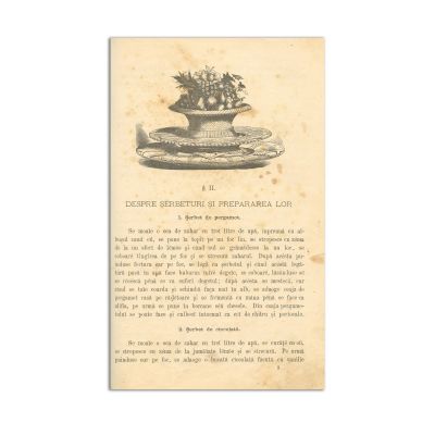 Ecaterina Steriad, Buna menajeră. Carte de bucate practică, 1874