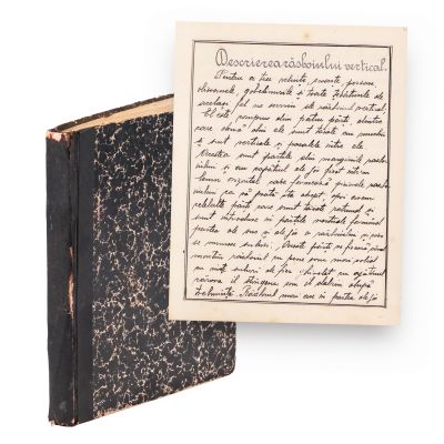 Studiu despre covoare, manuscris
