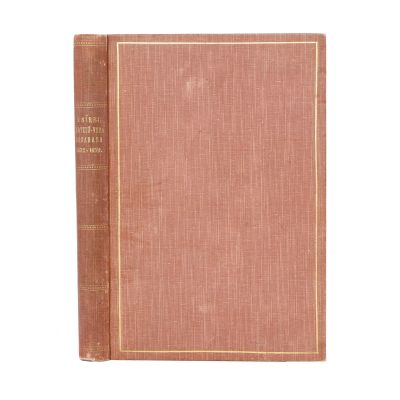 Ion Sârbu, Mateiu-Vodă Basarabas, 1899