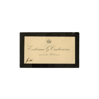 Ecaterina și Grigore G. Cantacuzino, fotografie format carte-de-visite și două cărți de vizită