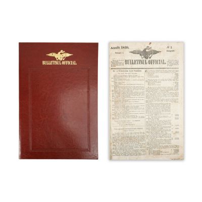 Publicația „Buletinul Oficial”, 1859, 110 numere colligate
