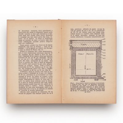 Cultura și foloasele sfeclei + Stupii Sistematici + Determinarea tăriei adevărate și a volumului real al unui amestec de alcool 