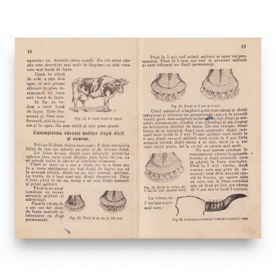 Constantin C. Jianu, Gospodăria rurală pentru clasa a VII-a primară, 1941