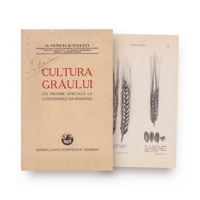 G. Ionescu-Șișești, Cultura grâului cu privire specială la condițiunile din România, 1938