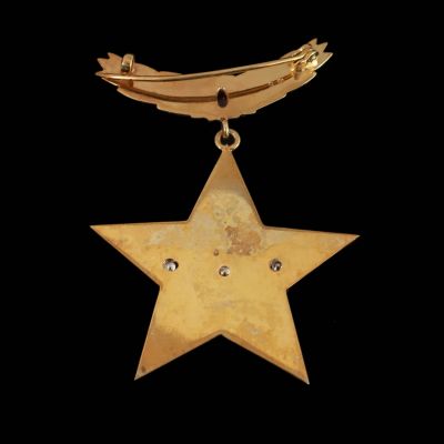 Medalia de „Erou al Republicii Socialiste România”, varianta din argint safire și rubine artificiale