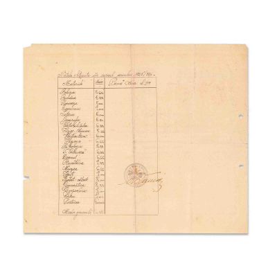 Pană Ana, certificat de aptitudine, 1926