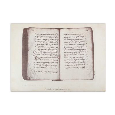 Ion G. Sbiera, Codicele Voronețean, 1895