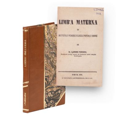 Dr. Ilarion Pușcariu, Limba maternă, 1875