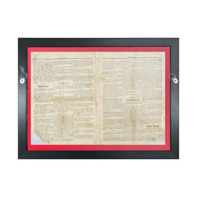 Publicația „Dorobanțul”, anul I, nr. 5, 19 noiembrie 1877 - Lupta de la Grivița