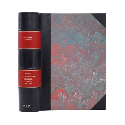 Ion Sîrbu, Istoria lui Mihai-Vodă Viteazul, două volume colligate, 1904
