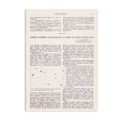 Publicația „Viața Agricolă”, Anul 32 + Anul 33, 1941-1942