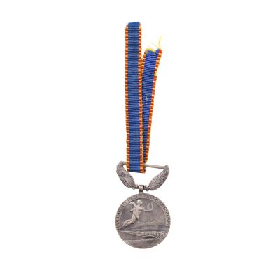 Miniatura medaliei „Avântul țării”