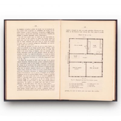 Teodor Filipescu, Coloniile române din Bosnia, 1906