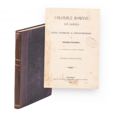 Teodor Filipescu, Coloniile române din Bosnia, 1906