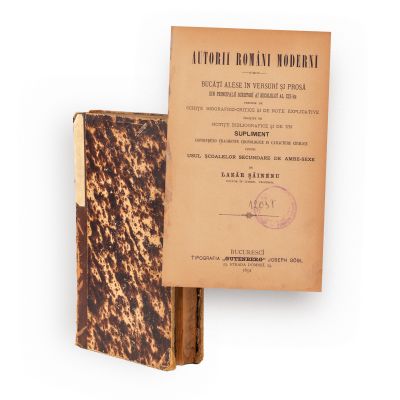 Lazăr Șăineanu, Autorii români moderni, 1891