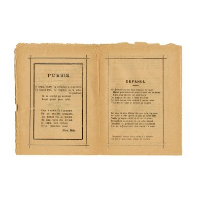 Niculae Metz, Testamentul politic al marelui cetățean român Ion C. Brătianu, 1891