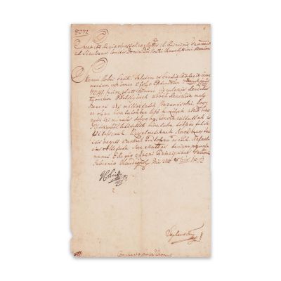 Document în maghiară referitor la o serie de acțiuni criminale, 1872