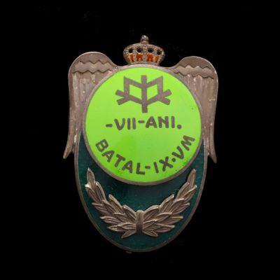 Insigna de 7 ani „Batalionul 9 Vânători de Munte”