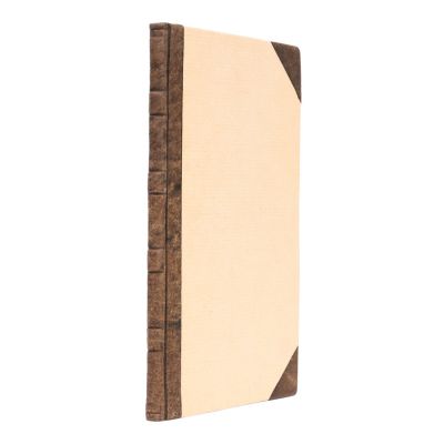 Alexandru Pelimon, Vestita Bătălie de la Călugăreni, 1848