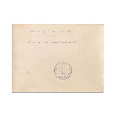 Meeting de aviație, avioanele participante, fotografie de presă, atelier I. Berman 