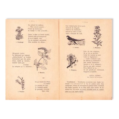 Gheorghe Nedioglu, Limba română pentru clasa a II-a, 1935