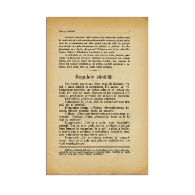Publicația Passiflora „Floarea Suferinței”, Anul I, Nr. 1, octombrie 1934 