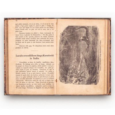 Foi pentru învățătură și petrecere, patru părți colligate, [1878]