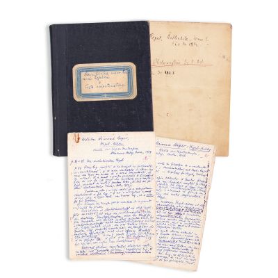 D. D. Roșca, Semnificația unor termeni hegelieni și texte caracteristice + Filosofie de l’Art, manuscrise