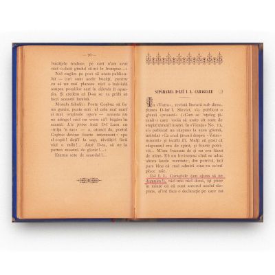 A. Vlahuță, Un an de luptă, 1895 