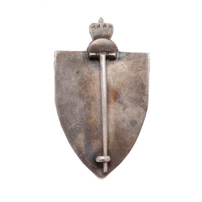 Varianta a Insignei de 7 ani „Regimentul 9 Roșiori -Regina Elena- Robănești” 