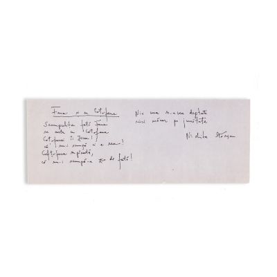 Nichita Stănescu, Fana și cu Coțofana, poezie-manuscris