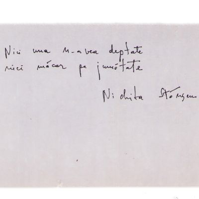 Nichita Stănescu, Fana și cu Coțofana, poezie-manuscris