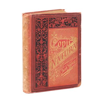 Iacob Negruzzi, Copii de pe Natură, 1874