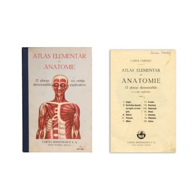 Atlas elementar de anatomie