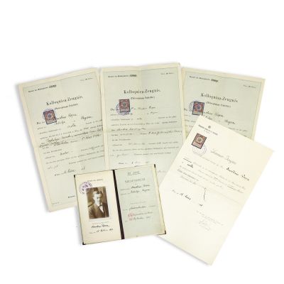Dumitru D. Roșca, 4 certificate și un registru de evidență eliberate de Universitatea Imperială și Regală din Viena, 1917-1918 