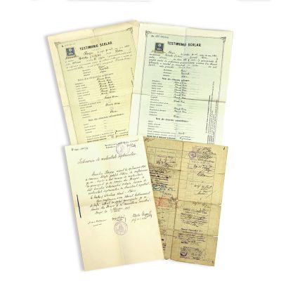 Dumitru D. Roșca, documente din arhiva personală