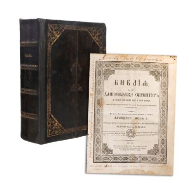 Biblia lui Andrei Șaguna, 1856-1858