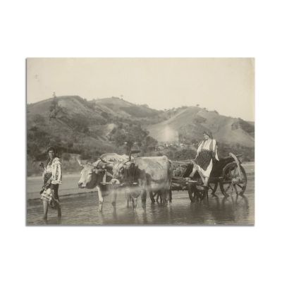 Țărănci cu boii spre casă, fotografie realizată de Alexandru Bellu