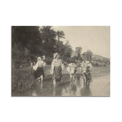 Două țărănci ducând boii spre casă, fotografie realizată de Alexandru Bellu