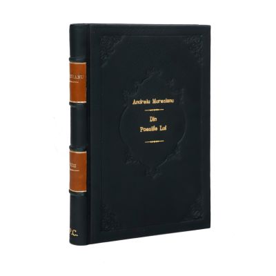 Din poeziile lui Andrei Mureșanu, 1862