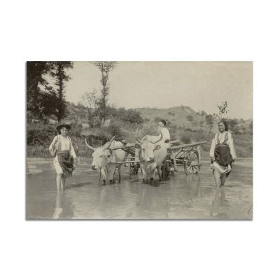 Două țărănci și moș Niță conducând carul cu boi, fotografie realizată de Alexandru Bellu 