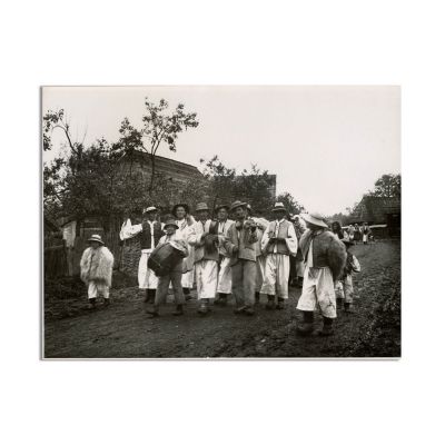 Muzicanți din Țara Oașului, fotografie de epocă 